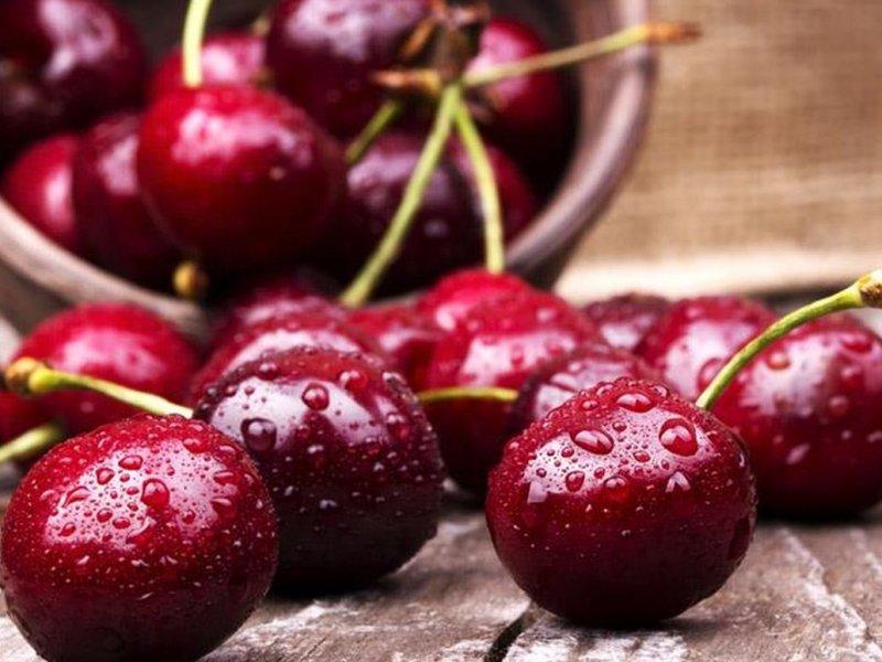 Вишня купить саженцы из питомника в Канаше